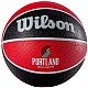Lopta Wilson NBA Team Portland Trail Blazers Ball WTB1300XBPOR