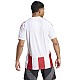 Tričko adidas Striped 24 JSY M IW2142