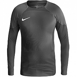 Brankársky dres Nike Gardien IV Goalkeeper JSY M DH7967 060
