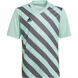 Tričko adidas Entrada 22 Graphic Jersey Jr HF0127