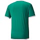 Tričko Puma teamLiga Jersey M 704917 05