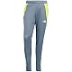 Tepláky adidas Tiro 24 M IV6945