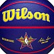 Lopta Wilson 2025 NBA All Star Auto Ball WZ4034101XB