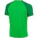 Tričko Nike DF Adacemy Pro SS Top K M DH9225 329