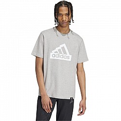 Tričko adidas Modern Essentials Graphic M IW2648