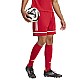 Trenky  adidas Squadra M 25 Short JN5466