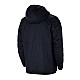 Nike Team Park 20 Jr CW6159-451