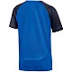 Tričko Nike DF Academy Pro SS Top K Jr DH9277 463