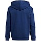 adidas Tiro 24 Sweat Hoodie Jr IR7504