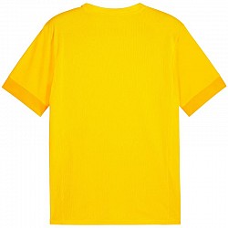 Tričko Puma teamGoal Matchday Jersey M 705747 07