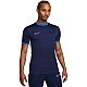 Tričko Nike Academy 25 SS Top M FZ9754-410