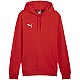 Puma Team Goal Casuals Hoody M 658618 01