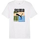Tričko Puma Graphics Summer Sports Tee II M 627909 02
