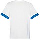 Tričko Puma teamGoal Matchday Jersey M 705747 12