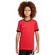 Tričko Nike Dri-Fit Academy 25 SS Jr FZ9758 657