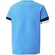 Tričko Puma teamRise Jersey Jr 704938 18