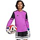 Brankársky dres adidas Squadra 25 Long Sleeve Jr JJ1939