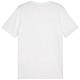 Tričko Puma Team Goal Casuals Tee M 658615 04