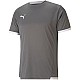 Tričko Puma teamLIGA Jersey M 704917 13