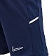 Trenky Nike Dri Fit Academy 25 Jr FZ9784 410