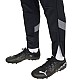Tepláky Puma teamFinal Training M 657380 03