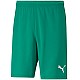 Trenky Puma teamRISE Short M 704942 05