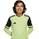 Brankársky dres adidas Squadra 25 Long Sleeve Jr JJ1940