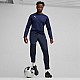 Tepláky Puma Team Goal Training M 658639 06