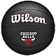 Lopta Wilson Team Tribute Chicago Bulls Mini Ball Jr WZ4017602XB