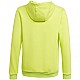 adidas Entrada 22 Hoody Jr HC5069