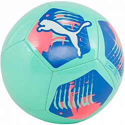Lopta Puma Big Cat 84214 13