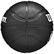 Wilson Team Tribute Toronto Raptors Mini Ball WZ4017608XB