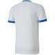 Tričko Puma teamGOAL 23 Jersey M 704171 12