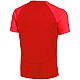 Tričko Nike DF Academy Pr Ss Top K Jr DH9277 657