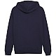 Puma Team Goal Casuals Hooded M 658595 06