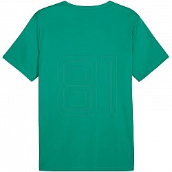 Tričko Puma teamRISE Matchday Jersey M 706132 05