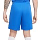 Trenky Nike Dry Park III NB M BV6855 463