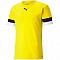 Tričko Puma teamRise Jersey M 704932 07