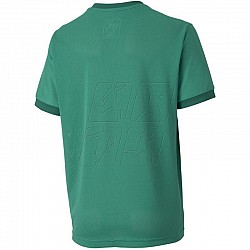 Tričko Puma teamGOAL 23 Jersey Jr 704160 05