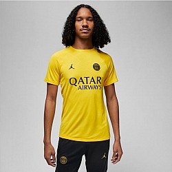 Tričko Nike PSG DF Academy Pro SS Top PM 4TH M DR4906 720