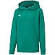 Puma teamGOAL 23 Casuals Hoody Jr 656711 05