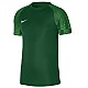 Tričko Nike Dri-Fit Academy SS M DH8031 302