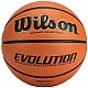 Lopta Wilson Evolution Indoor Game Ball WTB0586XBEMEA
