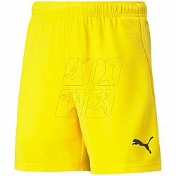 Trenky Puma teamRise Short Jr 704943 07