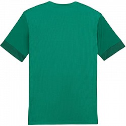 Tričko Puma teamGoal Matchday Jersey M 705747 05