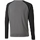 Puma teamPacer GK LS Jersey Jr 704939 43