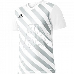 Tričko adidas Entrada 22 Graphic Jersey Jr HF0120