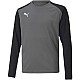 Puma teamPacer GK LS Jersey Jr 704939 43