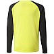 Puma teamPacer GK LS Jersey Jr 704939 42