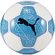 Futbalová lopta Puma Prestige 83992 12